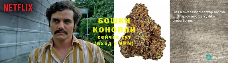 Бошки марихуана SATIVA & INDICA  как найти наркотики  мориарти официальный сайт  Ипатово 